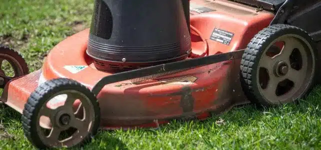 Comment bien choisir la lame de votre tondeuse pour un gazon parfaitement entretenu